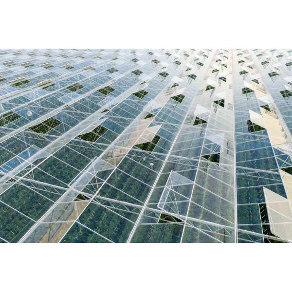 80.000kg Package Gross Weight Drip Irrigation Glass Greenhouse with Vegetables