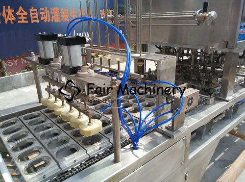 8KW SS316 Cup Filling Sealing Machine 6 Cups For Granule 5400B/H