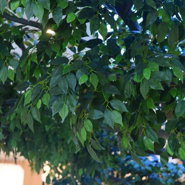 Customized Height faux banyan tree fire resistant Large Commercial Ficus Artificial Tree For Indoor Decoartion