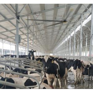 Quality Multipurpose Giant Ceiling Fans 380V 220V 1.5KW Energy Saving Ceiling Fan for sale