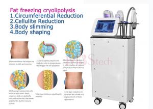 China CE Rohs Weight Loss Body EMShapeing Cryolipolysis Machine on sale