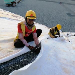 5mm Adhesive Geotextile Composite Drainage Geonet for Improved Drainage