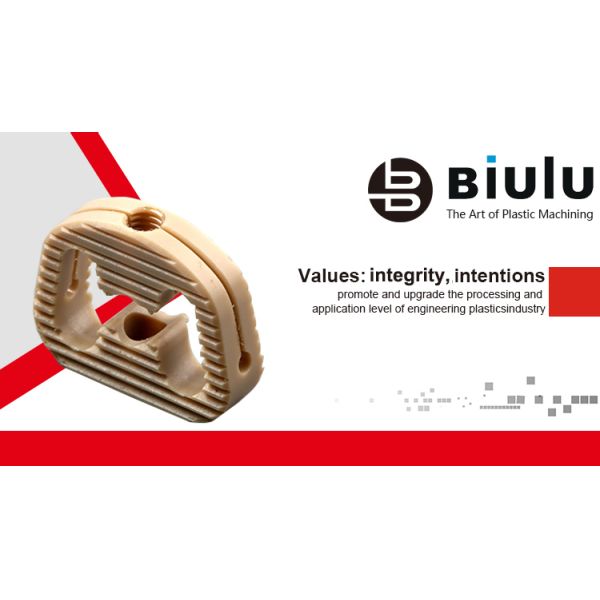 CNC Machining Plastic Ceramic Peek PTFE PI Parts 0.01mm Tolerance OEM Service