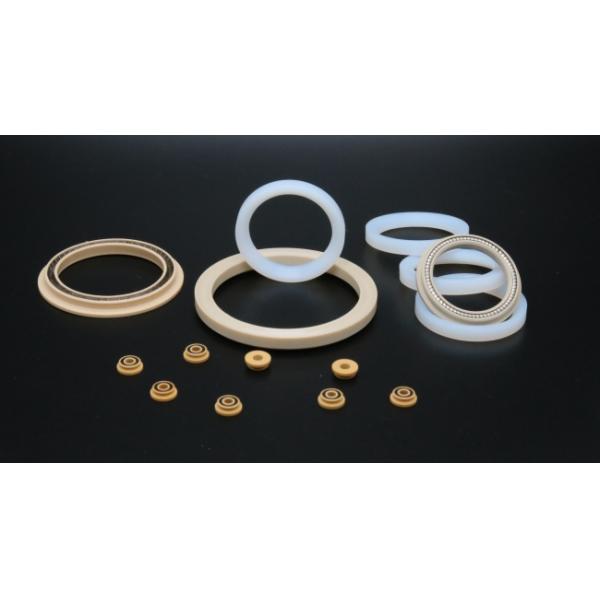 PTFE PEEK Material Spring Energized Seals For Canned Equipment High Temp Resistance