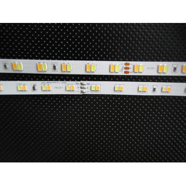 5050 2835 3528 5630 WW/W CCT dimmable led strip