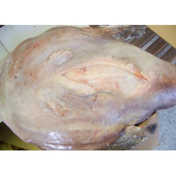 Whole Monkfish Gutted Iqf Brc Haccp Lophius Litulon No Additives Chemical Off Round