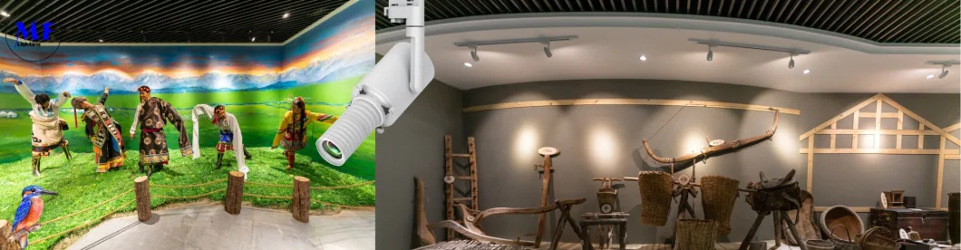 Shapeable LED Spot Track Light With 30W Framing Projector Gobo Projection Creative Shaper Framing Full Cut-Off Luminaire