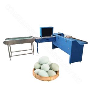 Quality 304 Stainless Steel Chicken Egg Grading Machine Price By Weight Egg Weight Classify Sorter for sale