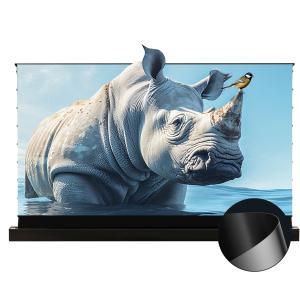 Quality Motorized Tension Floor Rising Screen PVC UST Alr Projector Screen for sale