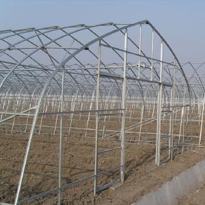 Quality Galvanized Steel Frame Tunnel Plastic Film Greenhouse for Vegetables Plants Grow for sale