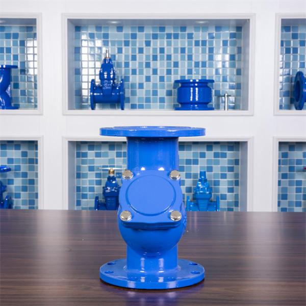 Cast Ductile Iron Y Strainer Stainless DN200 Basket Y Type Water Filter