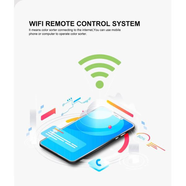 Color sorter in factory