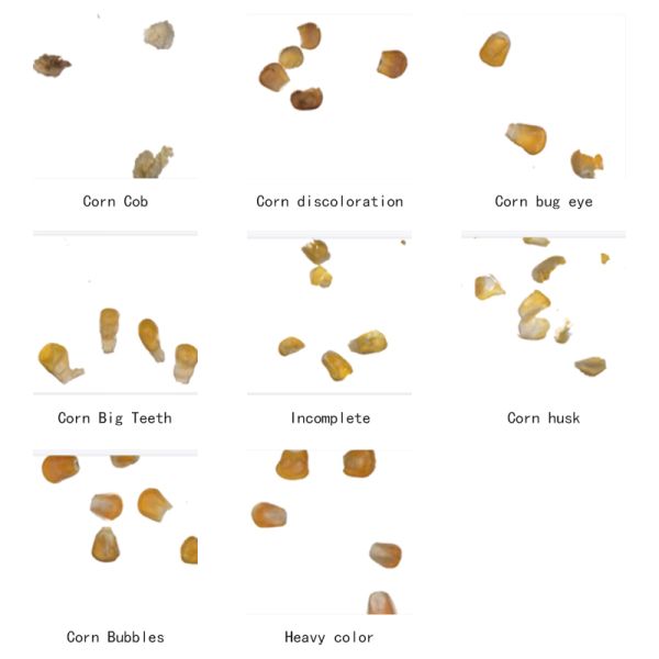Corn Grading And Sorting Machine For Processing, Improving Production Efficiency And Quality