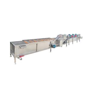 Ss304 1500kg/H Fruit And Vegetable Processing Machine