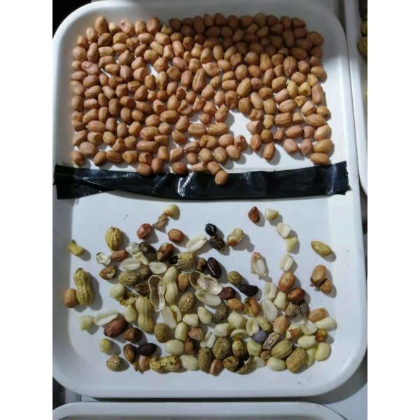 Peanut Groundnut Optical Sorting Machine High Accuracy Stainless Steel Almond Raisin Sorter