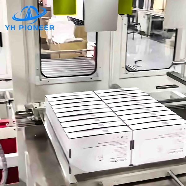 Stainless Steel Carton Box Packer Adjustable Speed For Automated Pallet Packing
