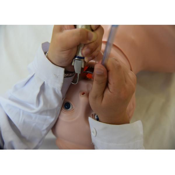 Adult Half Body Intubation CPR First Aid Manikins