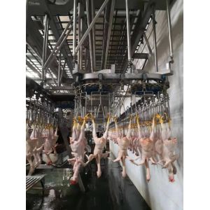 Quality Durable Chicken Slaughtering Line Automatic Slaughtering Machine TUV Approved for sale