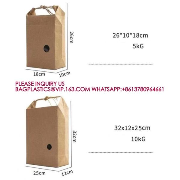 Custom Printing Eco Friendly Square Bottom Food Grade Packaging Bio Rice Kraft Paper Bag