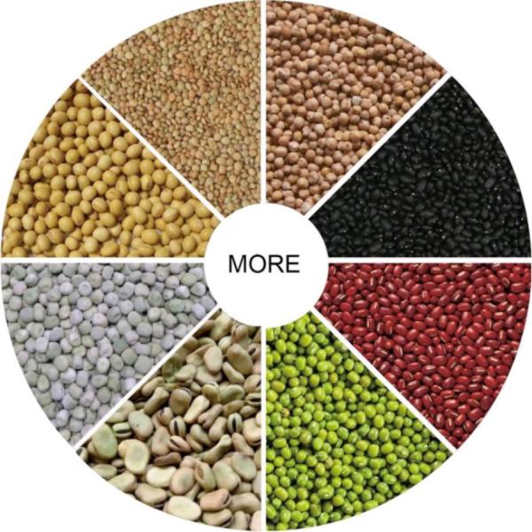 Bean Optical Sorting Machine Intelligent CCD bean color sorter machine
