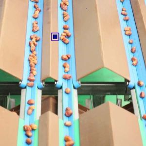Quality Size Classification 2.0 Tons Per Hour 8-Lane Palm Dates Sorting Machine for sale