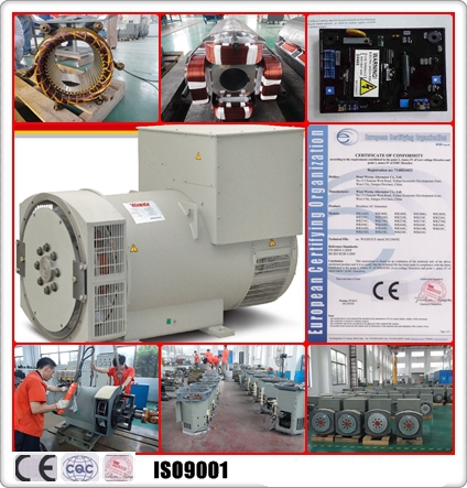 Three Phase Brushless Permanent Magnet Alternator