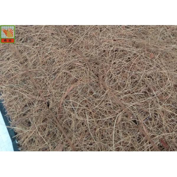 Light Weight Brown Erosion Control Netting / Anti Erosion Mesh 13g/Sqm