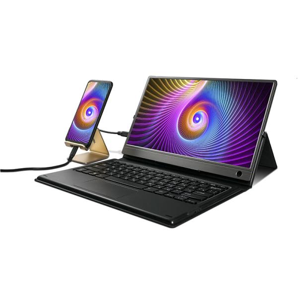 Narrow Bezel IPS 1080P Screen HDR HDMI 13.3 Inch Portable Monitor For Mobile Phone