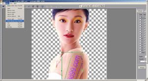 Quality EASY made 3D photo design 3D lenticular effect PSDTO3D101 Lenticular Software for 3d flip morph zoom animation effect for sale