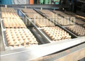 Quality Big Capacity Recycled Pulp Egg Tray Production Line Rotray Type Energy Saving for sale