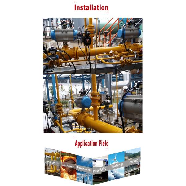 CF8 Cryogenic Check Valve