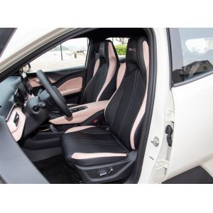 Buy In Stock Export Fast Ship Smart Sport Automotive Motor Power BYD EV Car