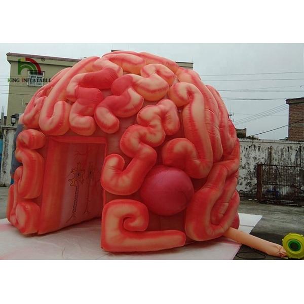 Giant 4m Inflatable Brain Replica Artificial Organs For Educational SGS EN71