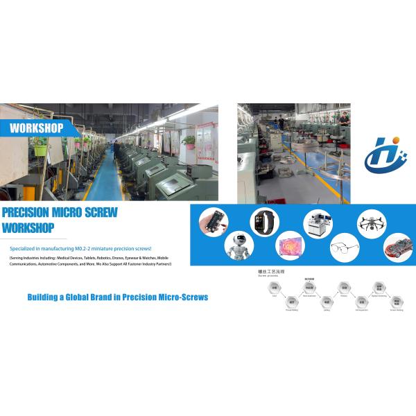 Nickel Plated Zinc Plated Black Oxide Micro Screw Precision Self-Tapping Screw for Industrial Applications