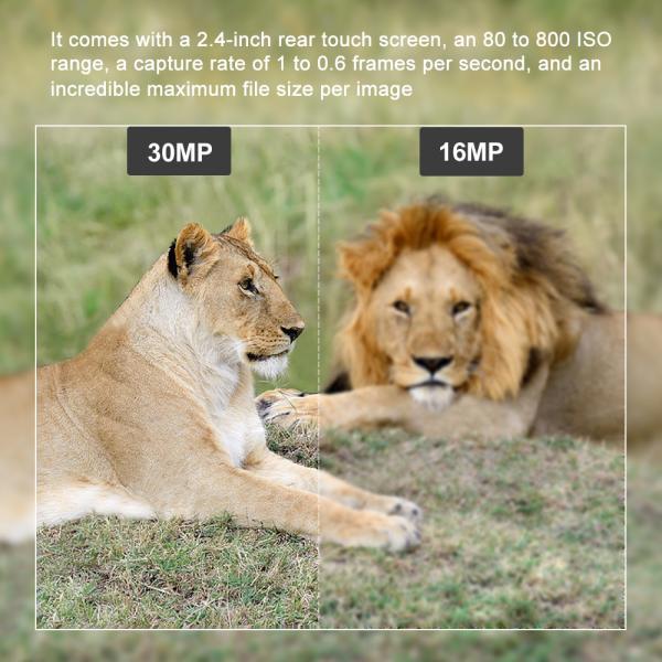 Programmable WIFI Hidden Wildlife Camera 24MP With LCD Display