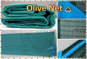 China Agricultural Harvest Netting Olive Netting Olive Harvest Netting on sale