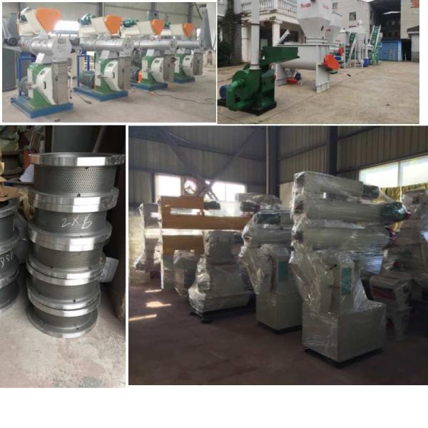 CE Animal Feed Pellet Production Line Ring Die 1-10 TPH Rabbit Feed Pellet Machine
