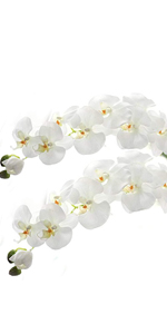 White Artificial Phalaenopsis Flower Real Touch Butterfly Orchid Flower Latex Orchids