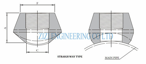 316 SS Threaded Outlet Fitting , NPT DN80 X DN40 6000 LB Branch Connection Fittings
