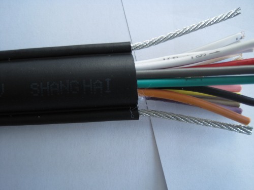Round Pendant Control Cable with 2 Steels For Crane and Lifter RVV2G 16*1.0MM2