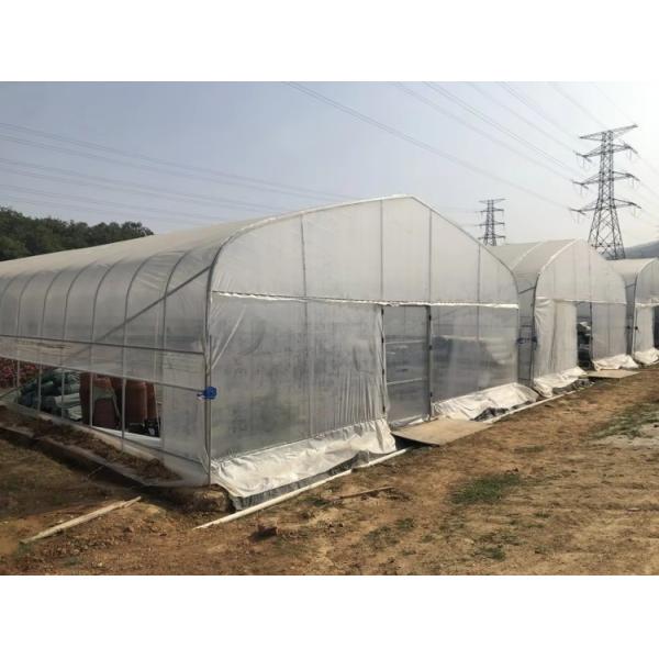 PE PO Film Tunnel Greenhouse Commercial Agricultural Greenhouse Customizable