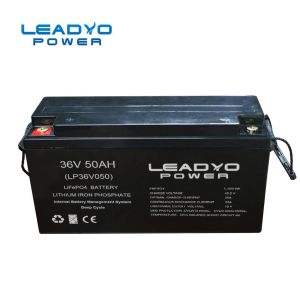 Quality Customized 36 Volt Forklift Battery 50Ah LFP Lithium Ion Battery 480X170X240mm for sale