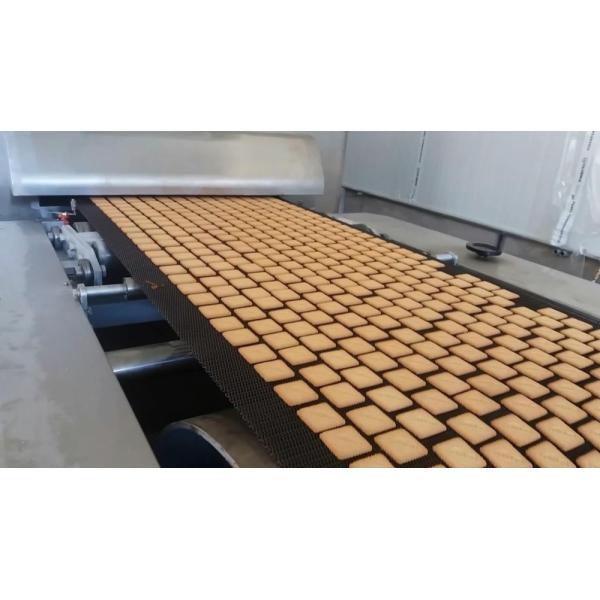 Soft Biscuit Production Line Rotary Moulder Biscuit Making Machine 50-200kg/H Capacity