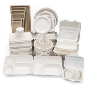 China 600ml Biodegradable & Compostable Sugarcane Take Away Bagasse Biodegradable Paper Take Out Food Container Disposable on sale