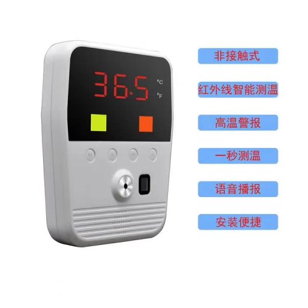 5V2A LCD IR 18650 Battery Wall Mounting Thermometer