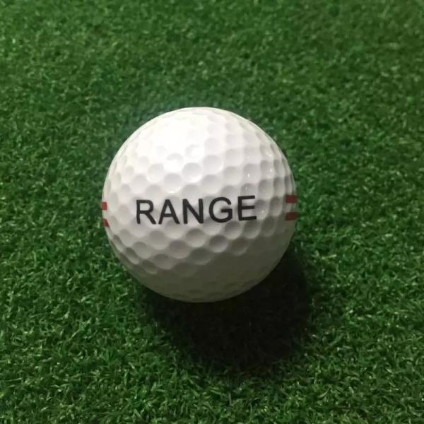 Driving Range Golf Balls with two pieces