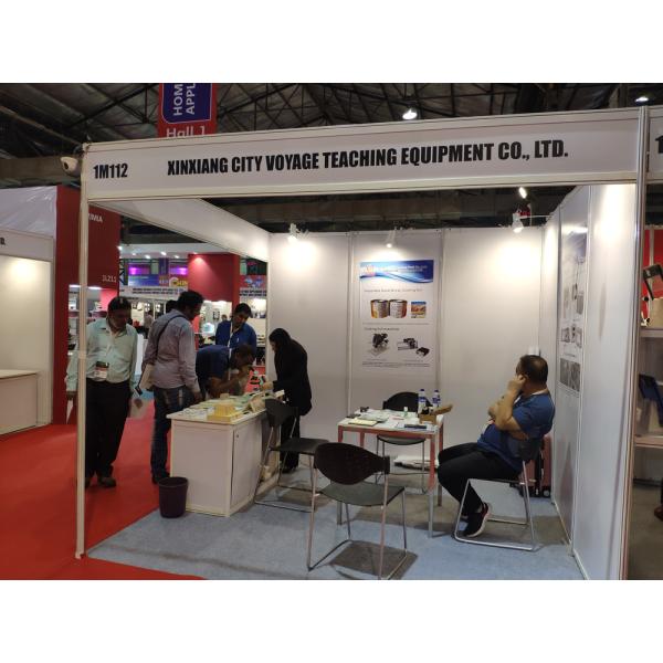 Glass 12pcs Onion Meiosis Prepared Botany Slides For School Research