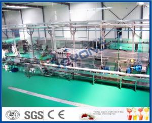 Quality High Efficiency Fruit Juice Processing Line Process Beverage Sterilizing Tunnel for sale