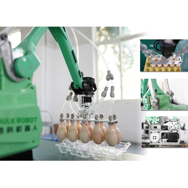 Collaborative 4 Axis Small Academic Robot Arm With Kit