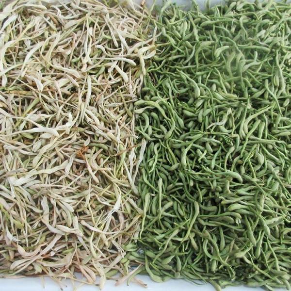 Multifunctional Flower Color Sorter With 99.9 Sorting Accuracy